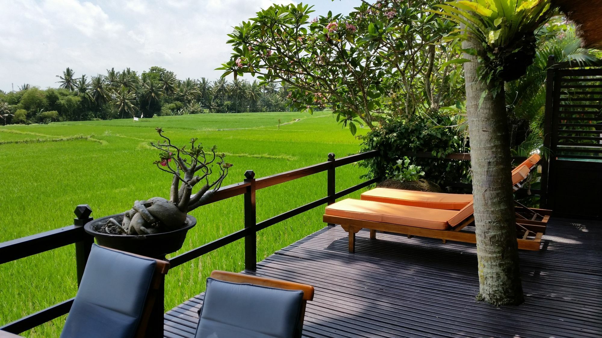 Lodtunduh Sari Hotel Ubud  Exterior photo